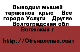 Выводим мышей ,тараканов, крыс. - Все города Услуги » Другие   . Волгоградская обл.,Волжский г.